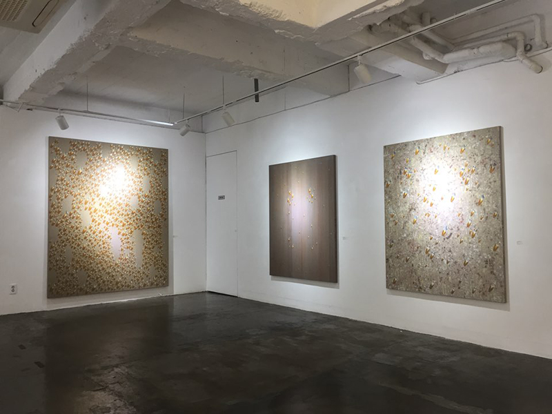 PYO Gallery