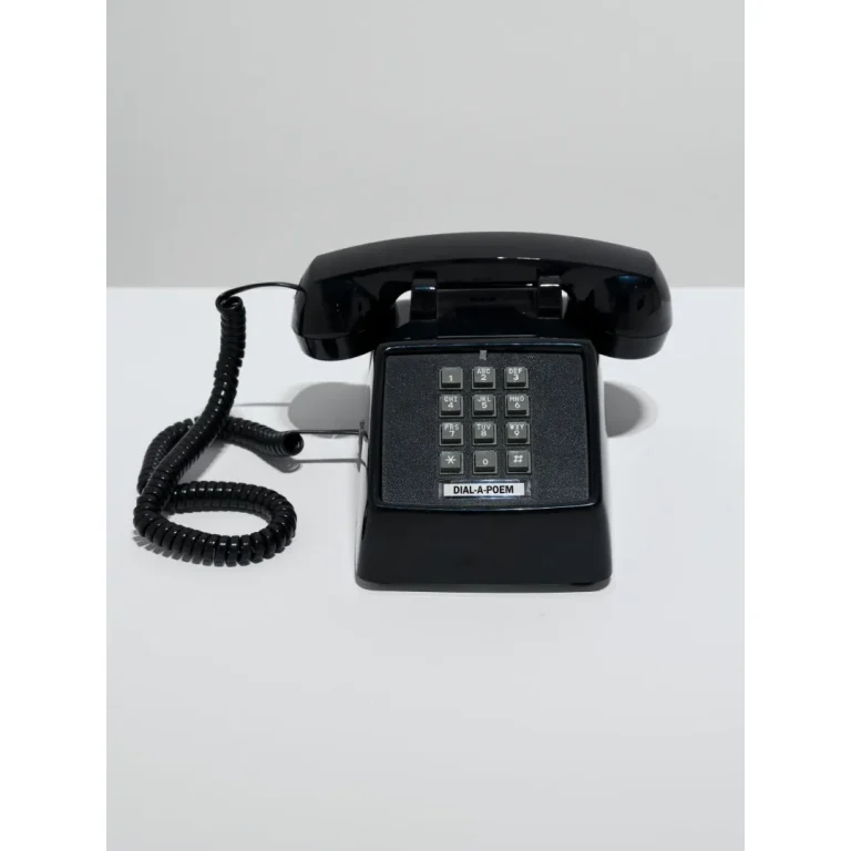 DIAL-A-POEM (Push-Button Edition), 1986–2019 Telephone, computer with 282 recorded poems from 132 poets © Giorno Poetry Systems Courtesy the Estate of John Giorno and Almine Rech Photo by Alessandro Wang