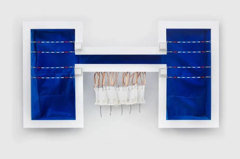 Joint Pool, 2021. Cotton velvet, fir, archival inkjet print on card, acrylic paint, eyelet screws, wire, glass beads, galvanized wire mesh, springs, rubber bands, metallic thread, string, duct tape, MDF, paper clips, staples, canvas, corrugated cardboard, metallic paper, turkey bone, silk organza, coloured acetate, plastic beads, calendar, necklace chain, cotton terry cloth, sand paper, mat board, PVC tube, metal grommets, pipe cleaner, drywall tape, plastic spiral hair tie, metallic tarp. Courtesy of the artist and Unit 17. Photo by Phoebe D’Heurle